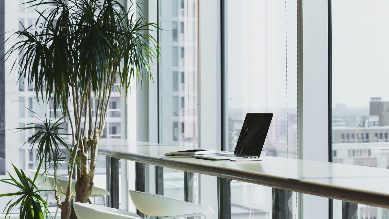 Heller, moderner Arbeitsplatz an einer Fensterfront mit Laptop und Zimmerpflanze, Tageslicht und Blick über die Stadt